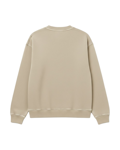 Felpa Girocollo Oversize Fit "Primitive Sponge" - Tortora, vista retro