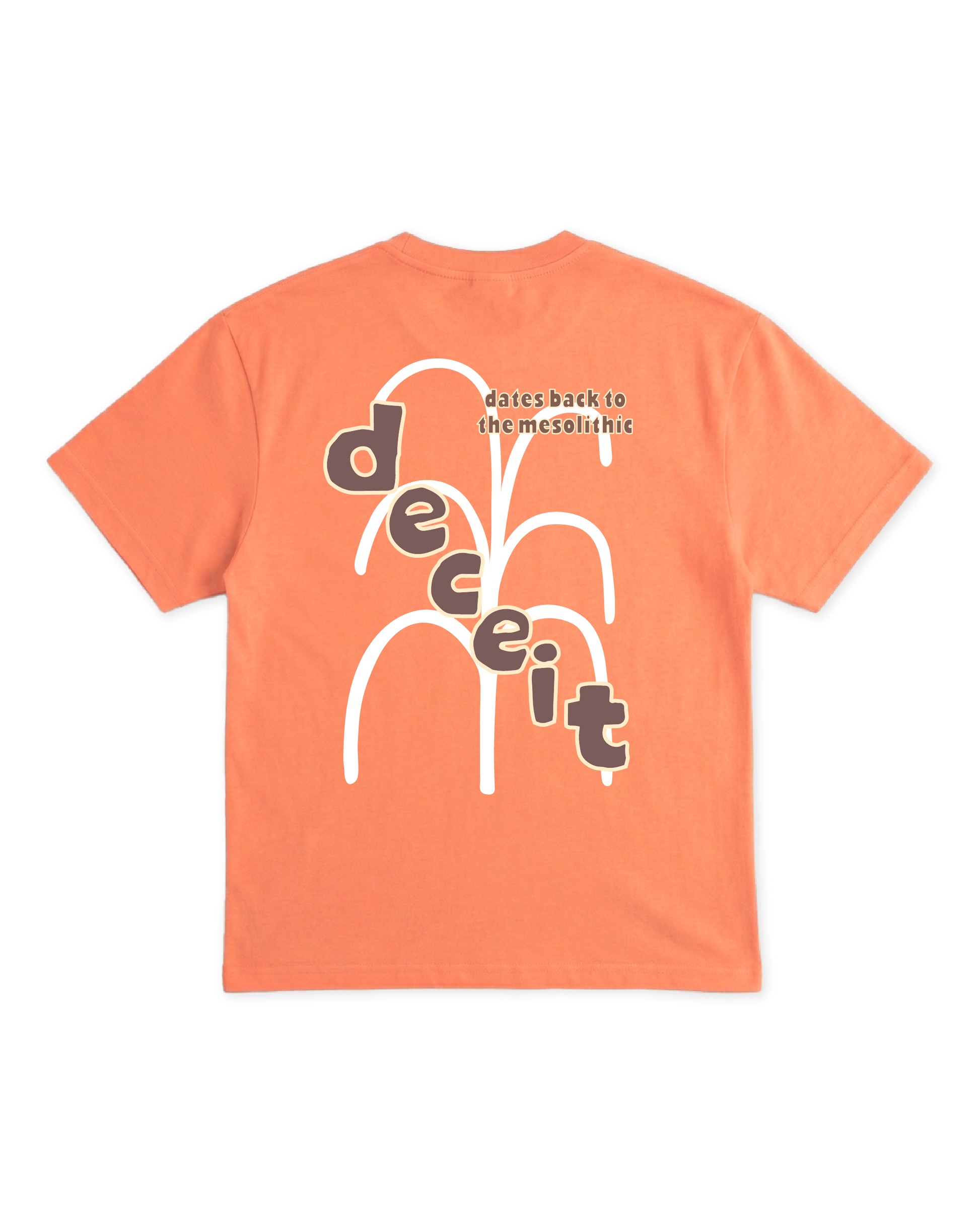 T-Shirt Regular Fit Salmone "Primitive", vista retro